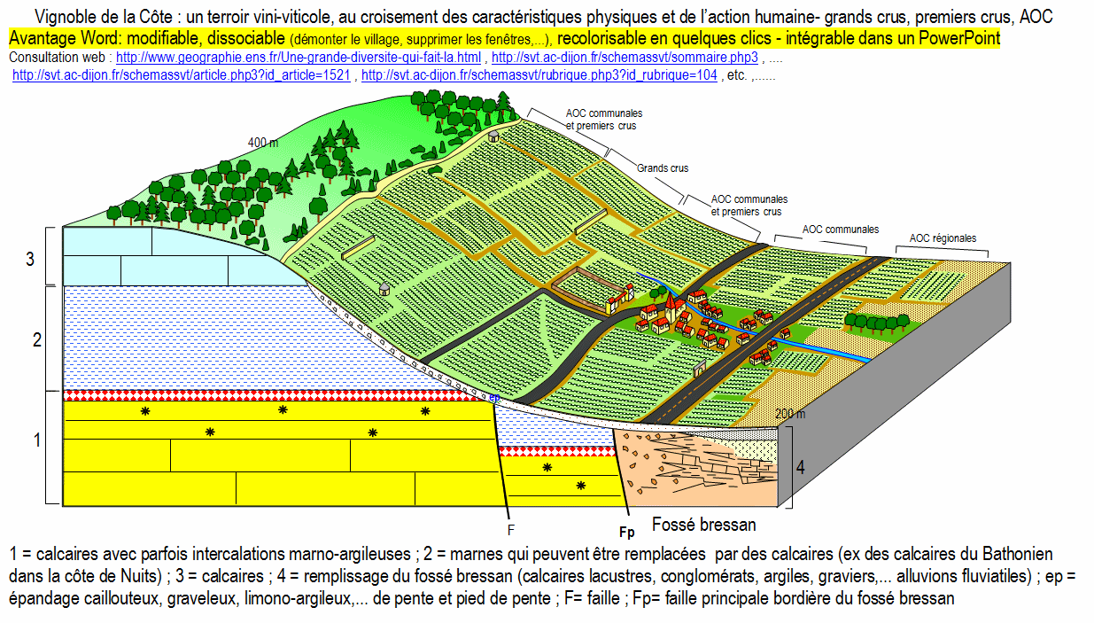 terroir_appell(svt.ac-dijon.fr).gif