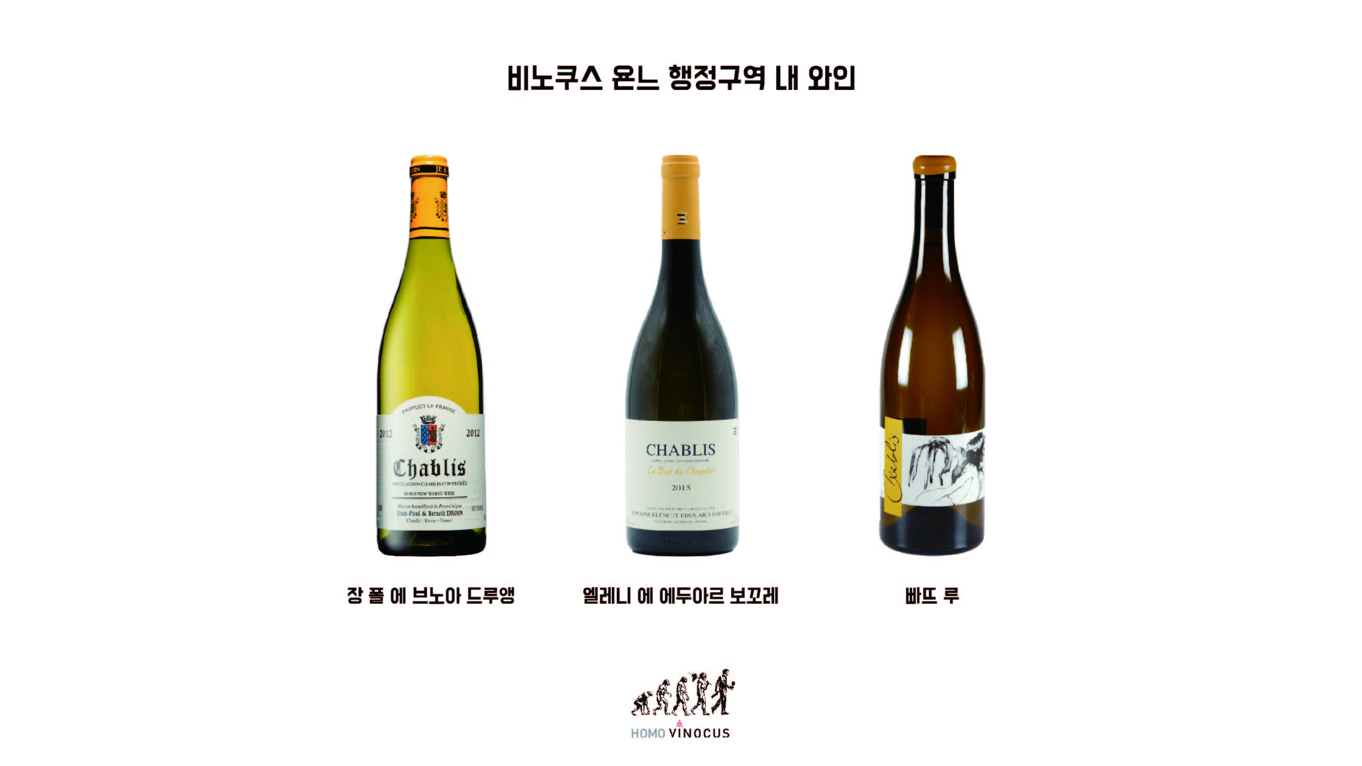 par region_대지 1.jpg