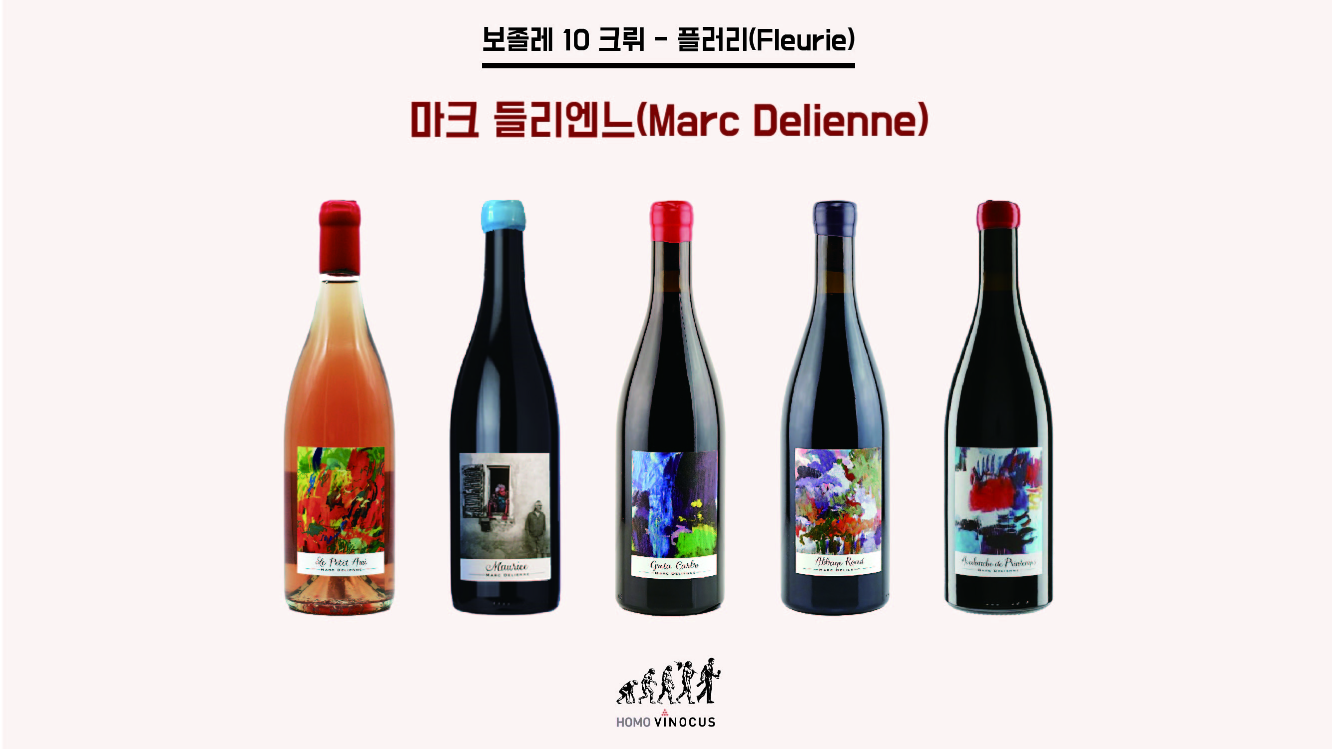 beaujolais 10 crus-02.jpg