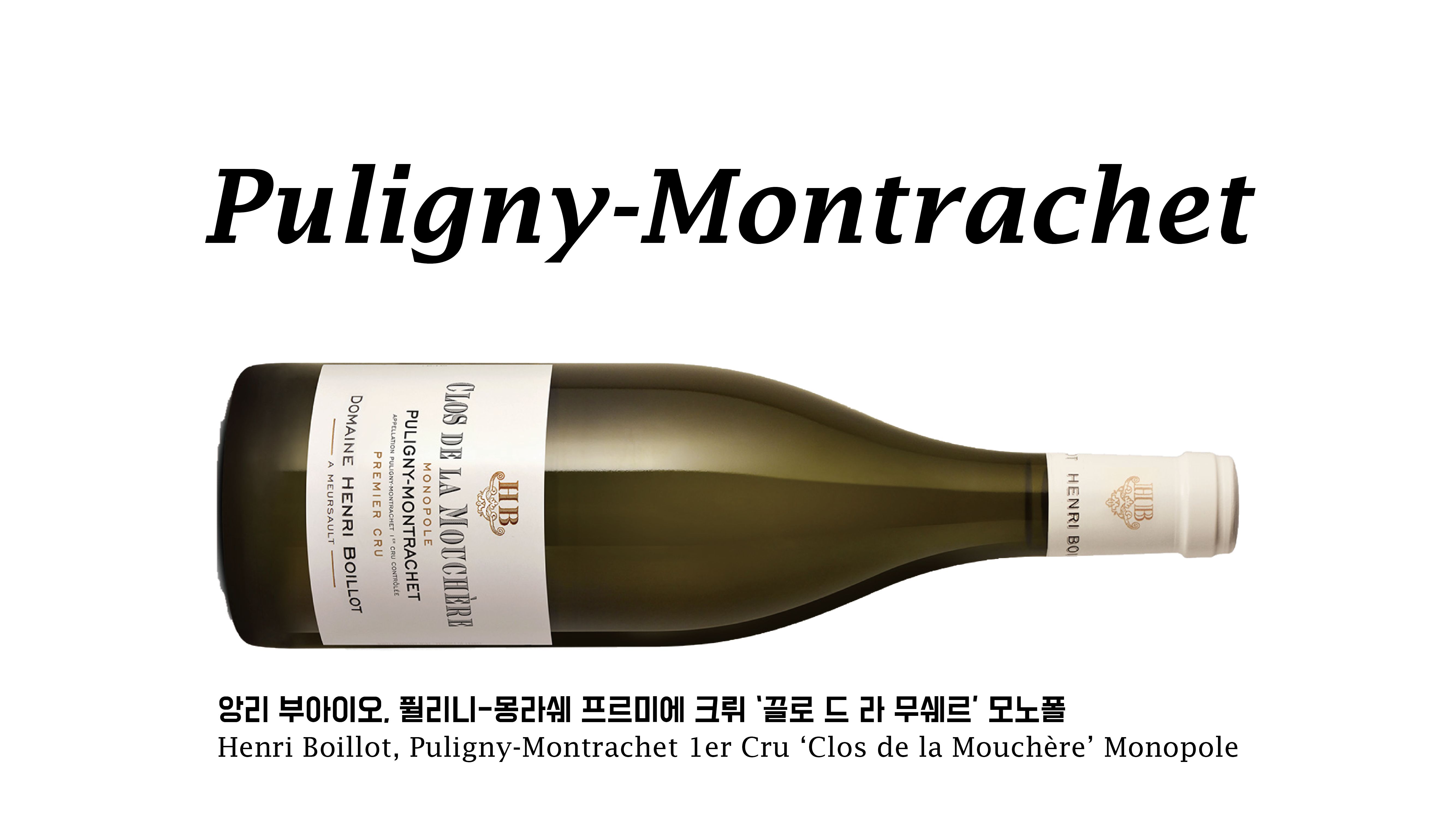 les appellations-07.png