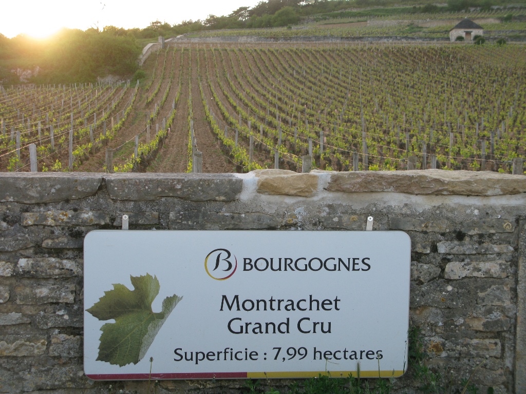 03_montrachet-grand-cru.jpg