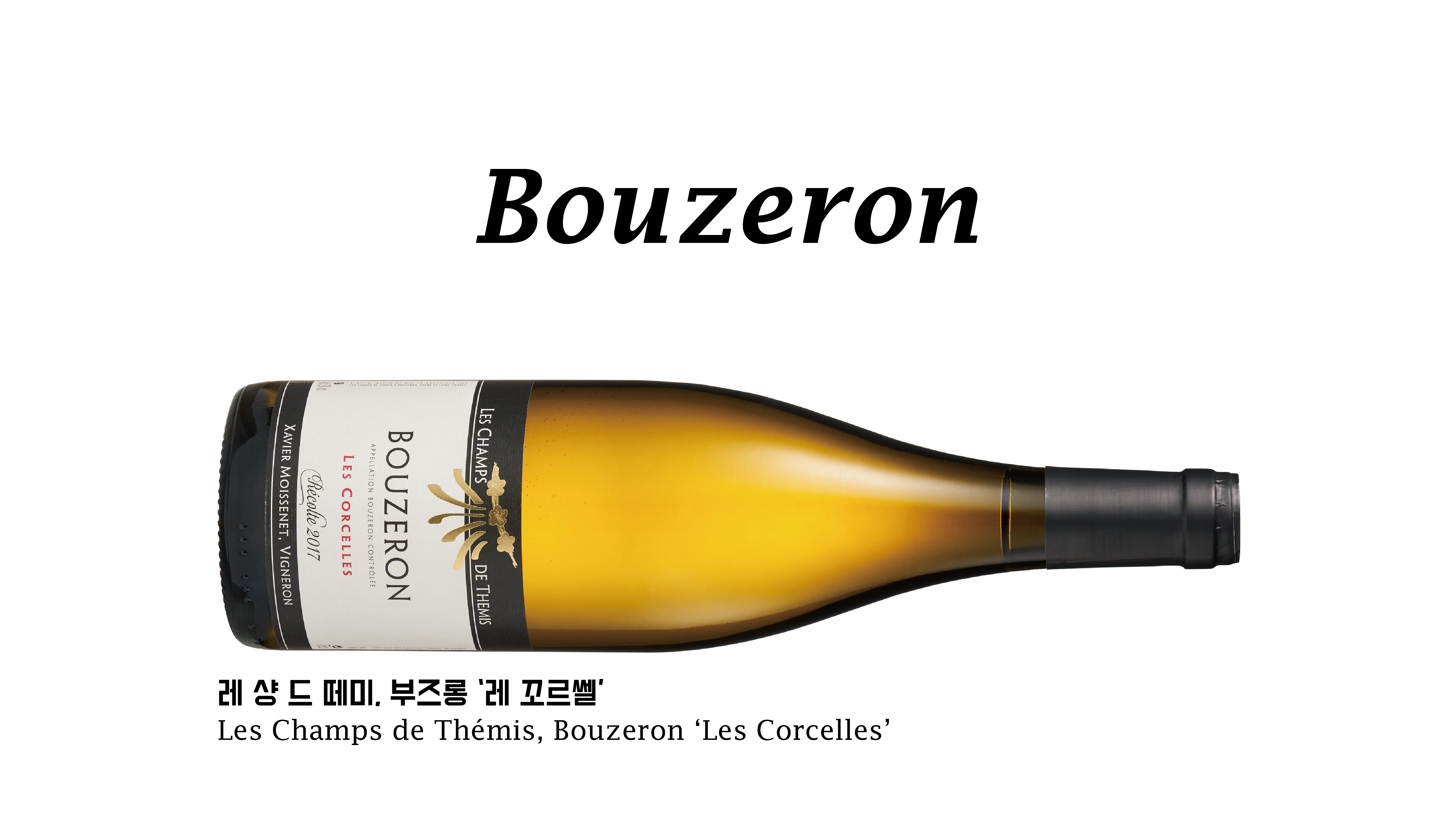 les appellations_대지 1.png