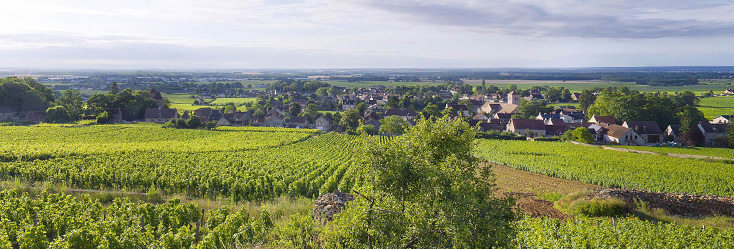 gevrey chambertin.jpg