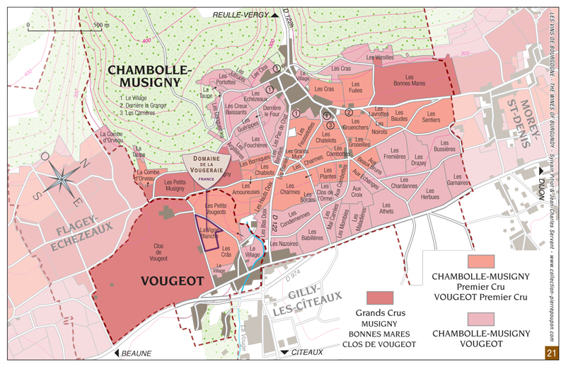 Vougeot-1er-cru.jpg